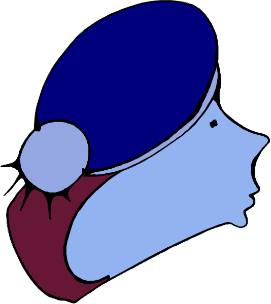 The image shows a stylized blue hat with white trim on top of what appears to be an abstract head shape against a plain background.