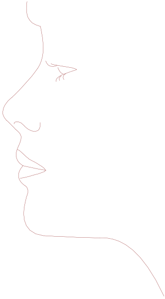 The image shows a closeup of an abstract face with red lines outlining facial features against a dark background on the right side; it is divided into two sections by color contrast—the left section has no visible details, while the right one displays what appears to be a human profile in black and white.