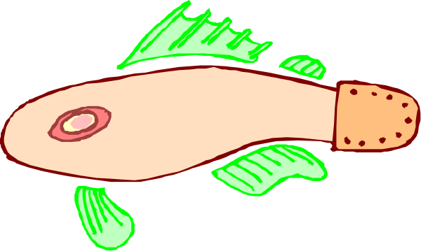 The image shows a cartoon fish with an eye patch on its right side swimming underwater next to some seaweed.