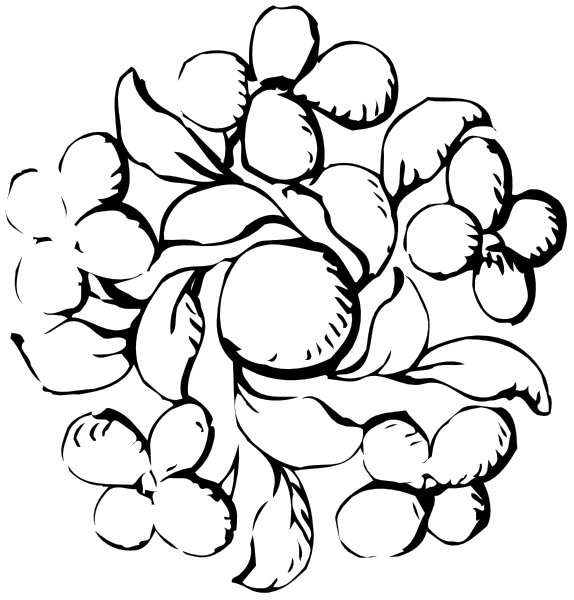 The black and white illustration shows a bunch of leaves with berries on them to their right side against a dark background.