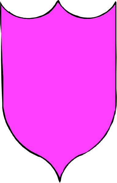 The image shows a pink shield with black lines forming an abstract pattern on it against a grey background.