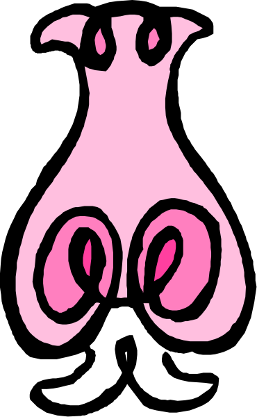 The image shows a pink dress with two black circles on it against a gray background.
