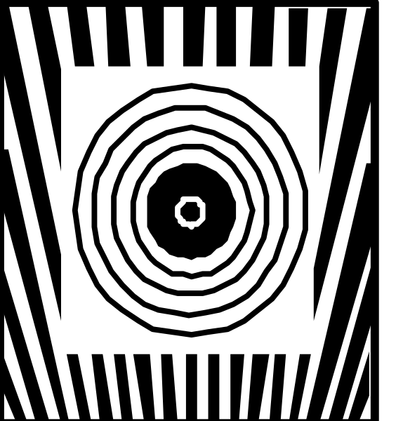The images show a black and white pattern with concentric circles creating an optical illusion of depth and movement.
