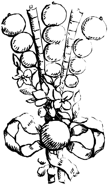 The black and white photo shows a cartoon of two characters: on top is an alien with large eyes looking upwards; below it appears to be another character that looks like a humanoid figure in profile view, also facing upward towards something unseen above them.