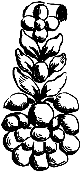 The black and white illustration shows a plant with multiple branches growing from it against an indistinct background.