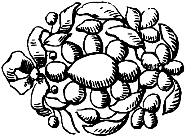 The black and white illustration shows a cluster of rocks with various shapes and sizes on top of each other against an unseen background.