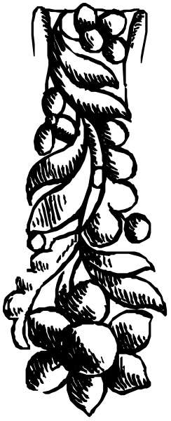 The black and white photo shows a decorative border with floral designs on either side of it.