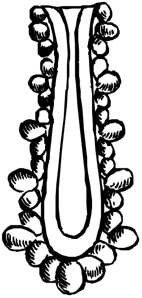 The black and white illustration shows a stylized plant with leaves on top of what appears to be soil at its base.