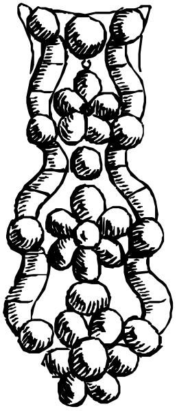 The black and white illustration shows a stylized representation of an abstract design with various shapes that could be interpreted as organic forms resembling cells or bubbles connected by lines to form a patterned structure, possibly suggesting growth or development within its borders; it is set against two contrasting backgrounds.