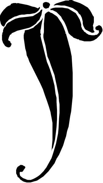 The image shows a black and white striped pattern with no distinguishable content within it.
