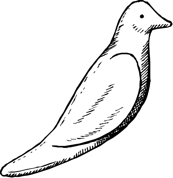 The black and white illustration shows a bird with its wings spread out on two separate panels against different backgrounds: left panel is darker while right panel has lighter shading.