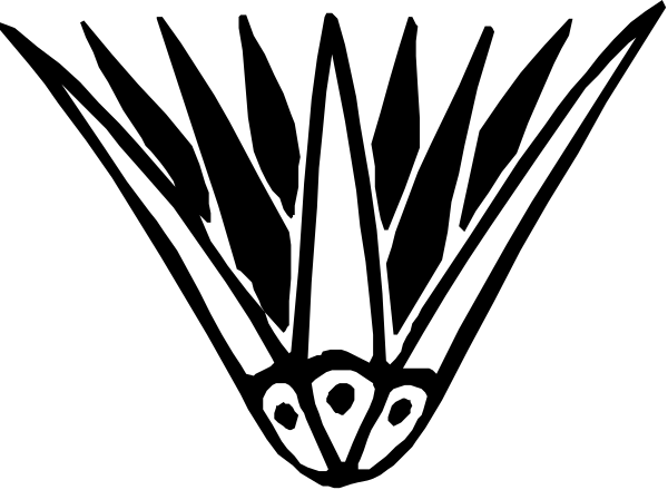 The black and white logo features a stylized letter 'V' with two wings on either side of it resembling an abstract bird design above three vertical lines that could represent leaves or feathers below them, all set against a solid background color.