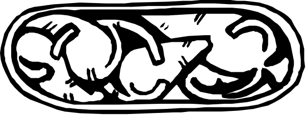 The image shows a black and white illustration of an emblem with text that reads "Society" at its center, surrounded by decorative elements such as leaves and flowers on either side.