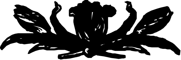 The black background has a white streak that resembles an abstract representation of motion blur from something moving quickly through space.