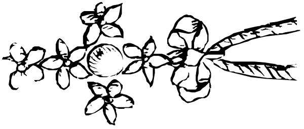 The black and white silhouette of a bouquet with leaves on it against an empty background.