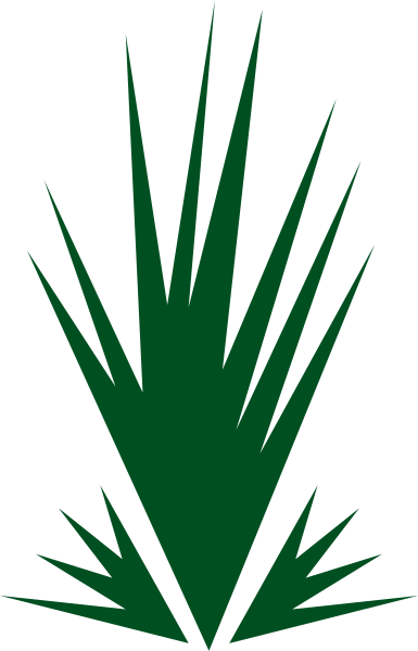 The image shows a graphic of an agave plant with green leaves against a black background on top half and white bottom half.