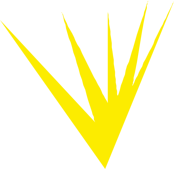 The image shows a stylized graphic of sunbeams radiating from what appears to be an abstract shape at its center against a dark background with yellow highlights on some parts of the design.