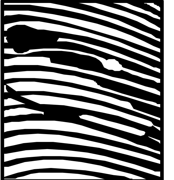 The black and white images show a stylized representation of an abstract pattern with curved lines forming shapes that resemble waves or ripples in water; there is no text present to provide additional context about objects, people, animals, actions, or setting within these patterns.