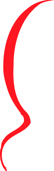 The image shows a red line with two black lines on either side of it against a gray background.