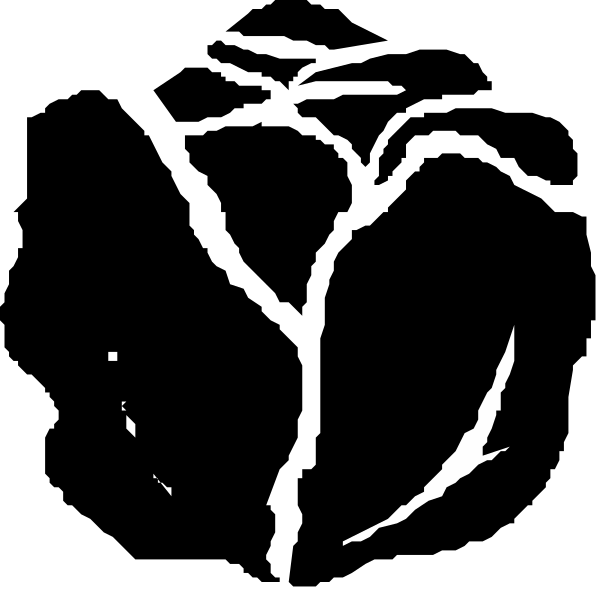 The image shows a black silhouette of an object that resembles a planet with rings against a dark background.