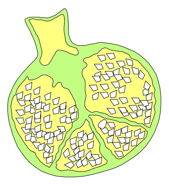 The illustration shows a stylized fruit with an open top revealing seeds inside, resembling a citrus slice cut in half to reveal its interior structure of segments filled with white dots that represent seedlings sprouting from them; it is set against a black background and has no text or additional elements.