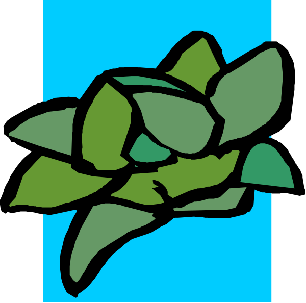 The image shows a green plant with leaves on it against a blue background.