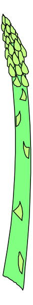 The image shows a vertical strip of an object with multiple green sections that resemble leaves on top against a gray background; it appears to be digitally altered as there is pixelation along one side where two different images meet, creating a seamless effect between them.