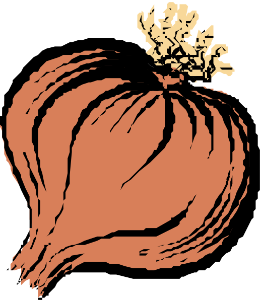 The illustration shows a garlic bulb with its papery skin removed to reveal cloves inside, set against an unadorned background that does not provide any additional context about location or time period.