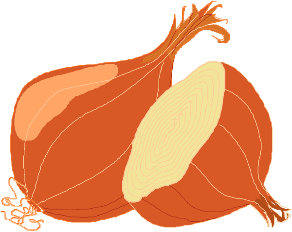 The illustration shows two onions with a slice cut out of each revealing their inner layers; there is no text present in this image.