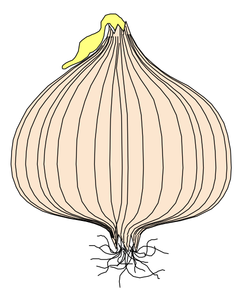 The image shows a cartoon of an onion with layers peeling back to reveal its core, which is yellow at the center.