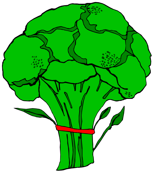 The image shows a cartoon of broccoli with green florets on top and stalks that resemble stems in shades of brown and beige.