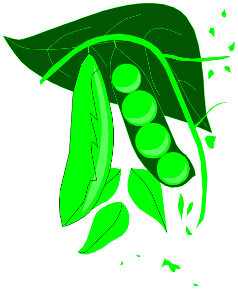 The image shows a green pea pod with three peas inside it on top of what appears to be an open book page featuring leaves in shades of yellow-green.