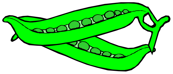 The image shows a green alligator with its mouth open against an orange background.