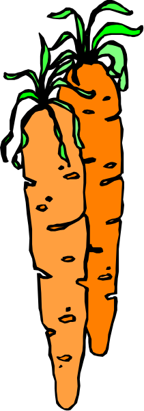 The picture shows two carrots with green tops against a gray background.