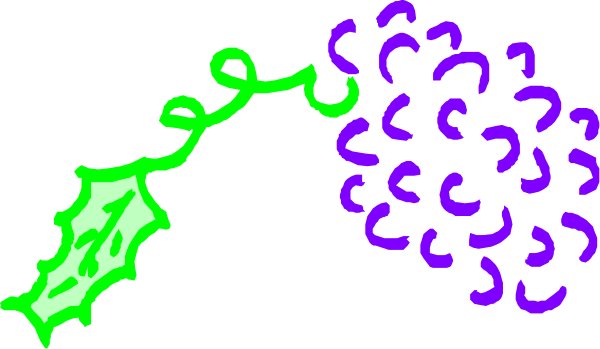 The image shows a purple flower with green leaves next to it on its right side.