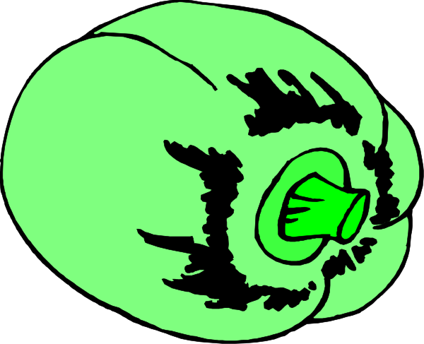 The image shows a green pumpkin with an eye peeking out from behind it on its right side.