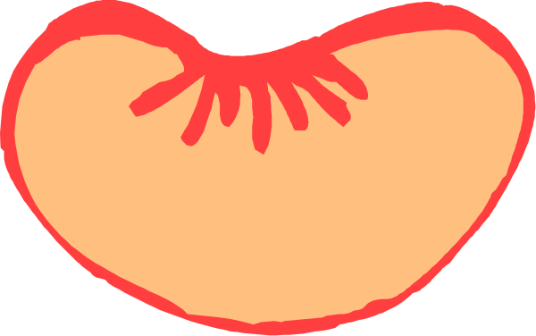 The image shows two tomatoes with a heart shape drawn on them against an orange background.