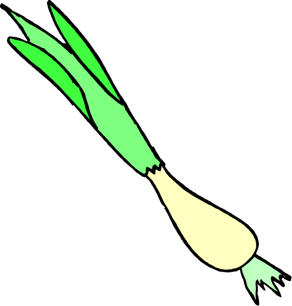 The image shows a green onion with its root end pointing upwards against a black background.