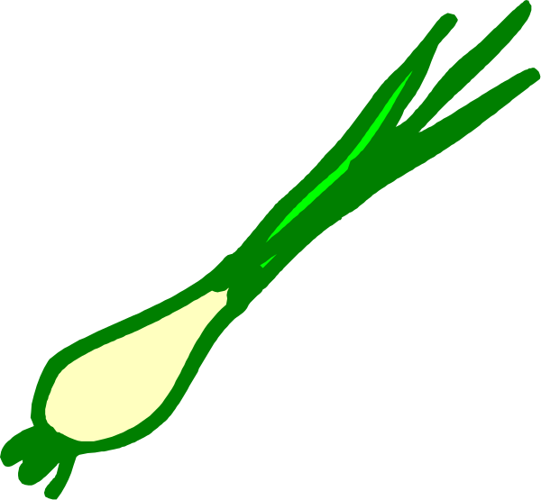 The image shows a green onion with its root end pointing upwards against a black background.