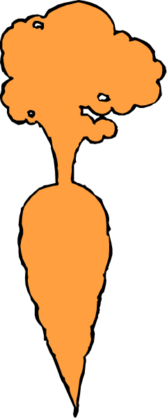 The image shows a carrot with two eyes drawn on it against an orange background.