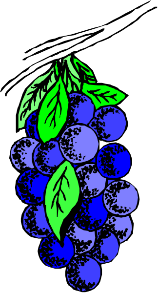 The image shows a bunch of grapes with green leaves on them against a blue background.