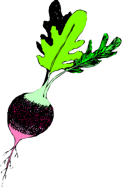 The image shows a green leafy vegetable with purple specks on it next to an orange carrot-like object in black background.