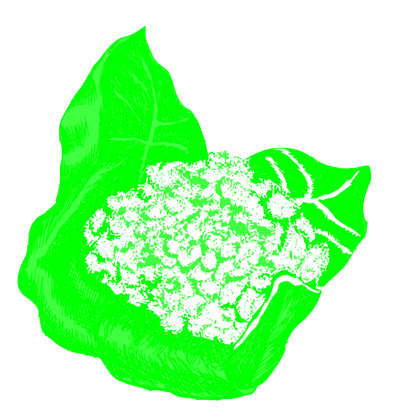 The image shows a green leaf with an open flower bud on it next to what appears to be blackberries inside of another larger dark-colored fruit that is partially visible in front of the leaf.