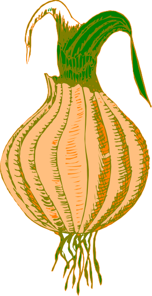The illustration shows a cartoon of an unripe pumpkin with green stem on top against white background.
