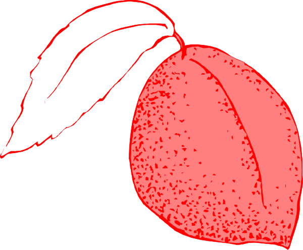 The image shows a red leaf with white speckles on it against a black background.