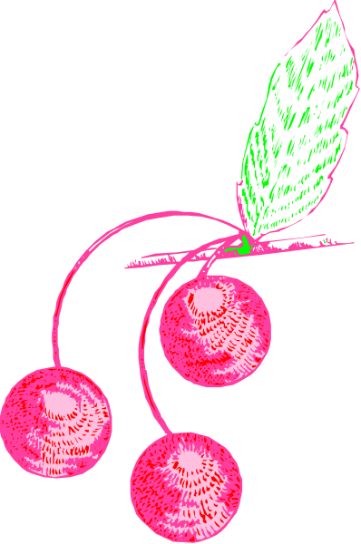 The image shows a cluster of cherry tomatoes with green leaves attached to them against a black background.