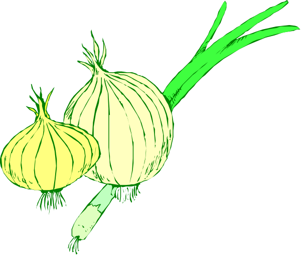 The image shows three garlic bulbs with green stems against a black background.