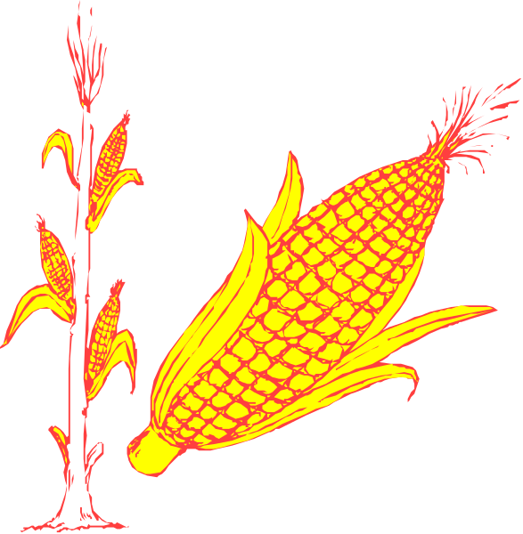 The images show a corn cob with leaves on it against different backgrounds: 1) black; 2) red-orange gradient; 3) white; 4) yellowish green. There is no text present in any of these four pictures, and all depict the same subject matter—a single ear of maize (corn cob with leaves). The style appears to be a simple graphic or clip art representation rather than an artistic rendering. Each image has similar composition but different color schemes for contrasting effects on visibility against various backgrounds.