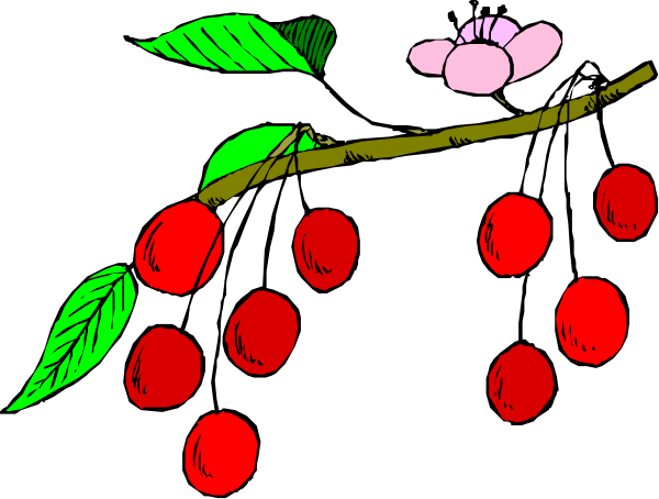 The image shows a cartoon of cherry blossoms with red cherries hanging from branches on either side against a black background.
