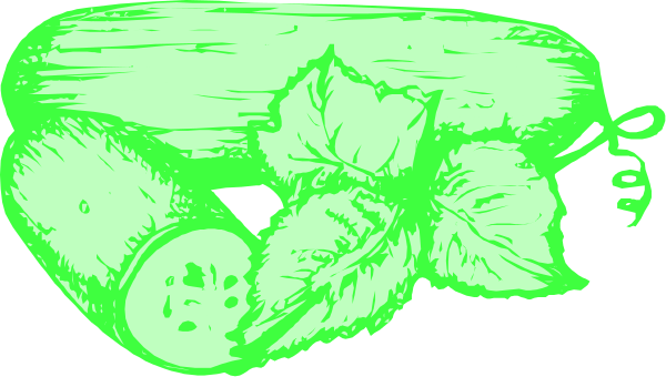 The image shows a green pineapple with two slices missing on top of it next to an orange slice that has been cut in half diagonally from one corner to another.